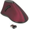 Delock Ergonomic vertical optical 5-button mouse 2.4 GHz wireless