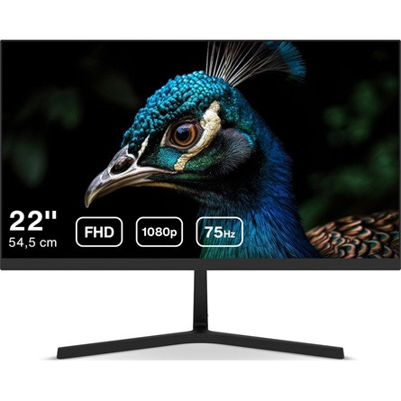 21,5" Dahua LM22-B201S IPS monitor 